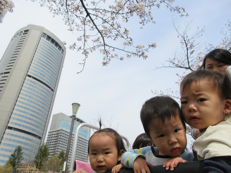 大川の桜を見に♪