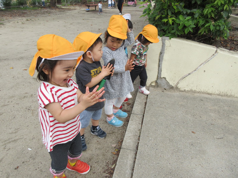 かぶとむしさんをお墓へ埋めました👼
