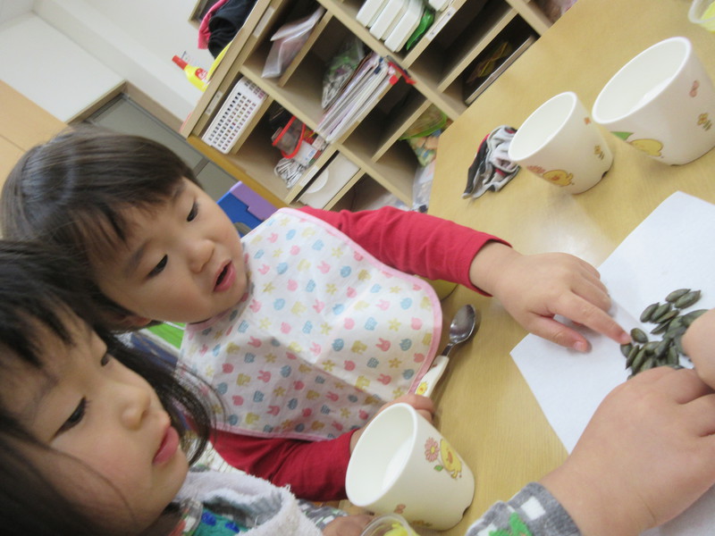 かぼちゃの種を食べました♪