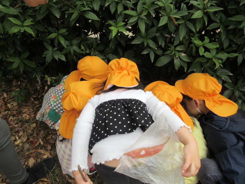 なにをみつけたのかな？？👀