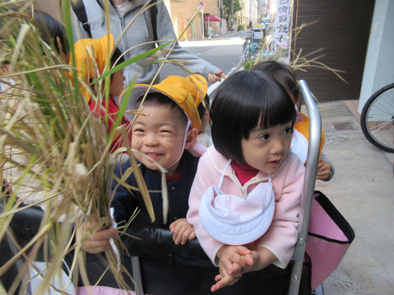 立派に育って嬉しいね☆
