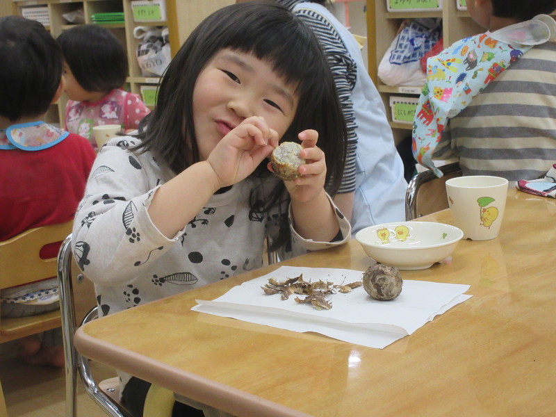 お手伝いしてるよ💕