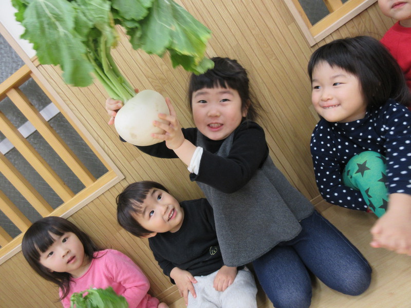 おっきなかぶ〜〜！！