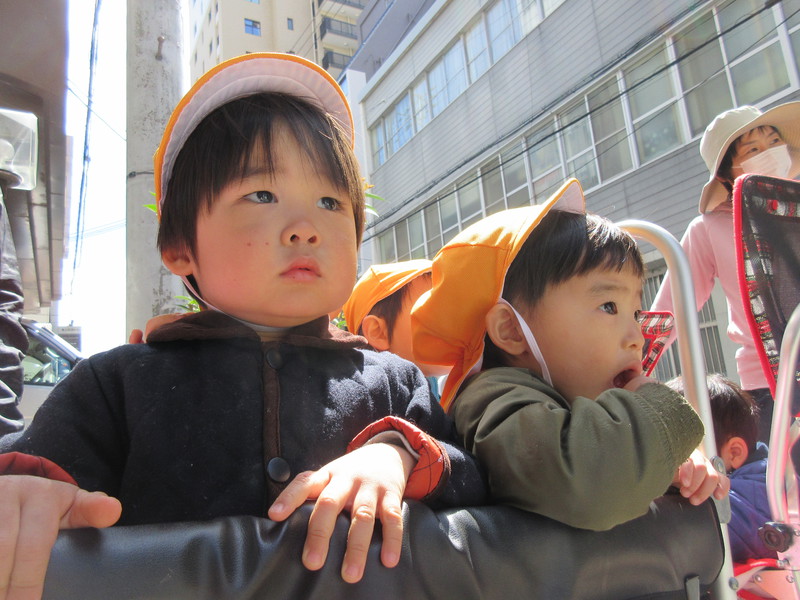 今日はお散歩日和☀