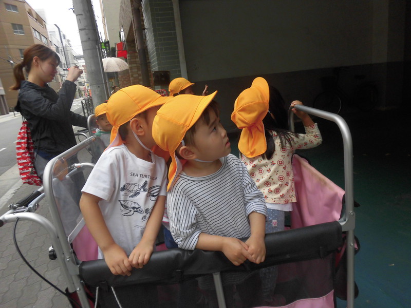 鳥の巣があったよ！赤ちゃん発見🐤