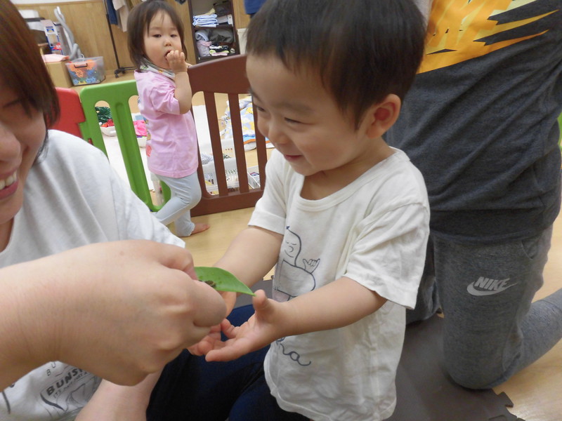 ちょうちょになるのが楽しみ💛