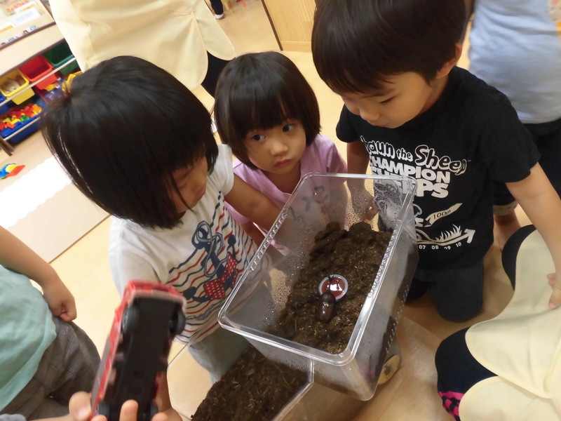 ゼリー食べてるね！つのがかっこいい✨