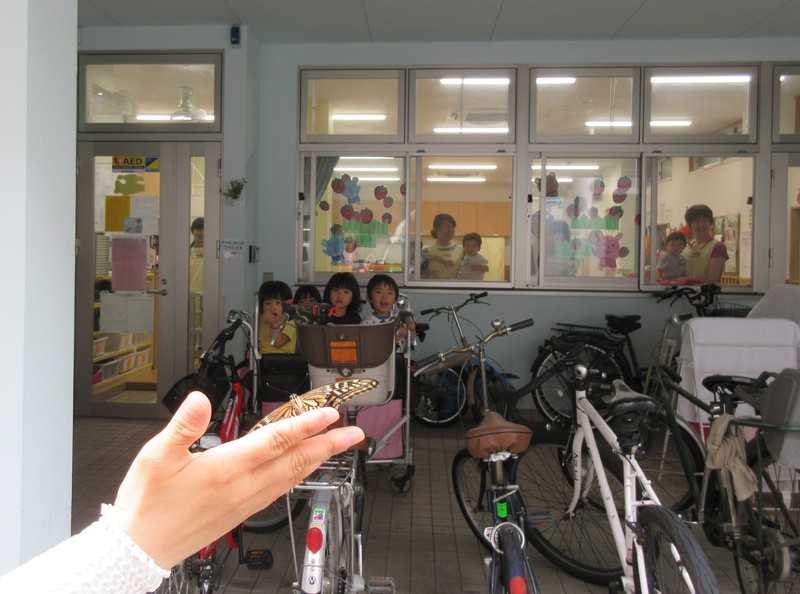 旅立ちをみんなで見送りました🦋