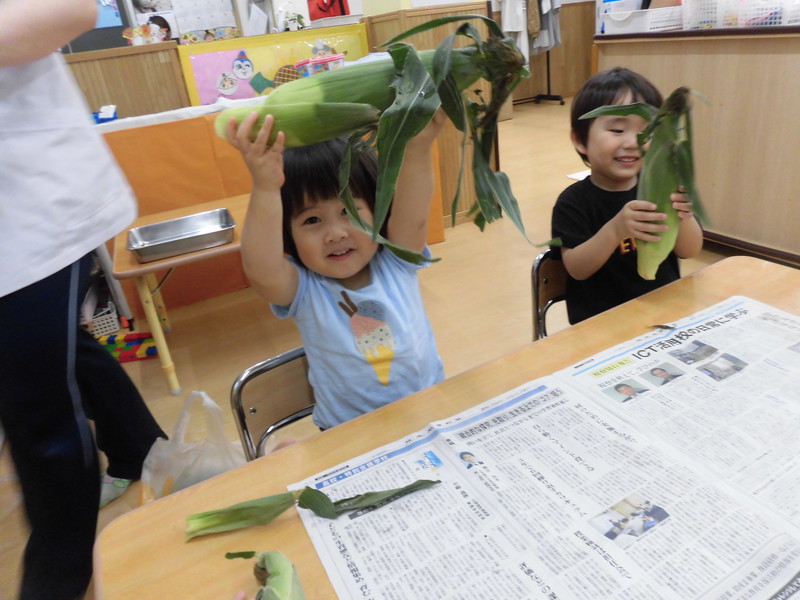 とうもろこしの皮むきをするよ🌽