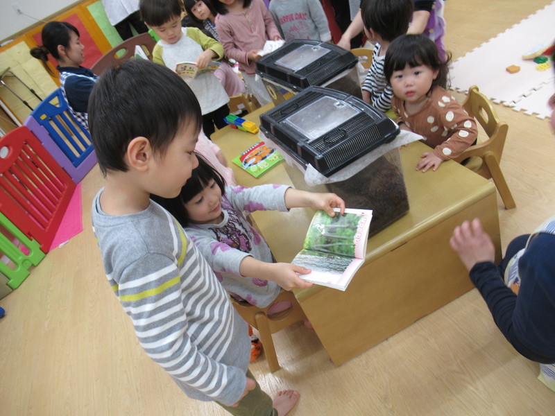 カブトムシ研究所☻