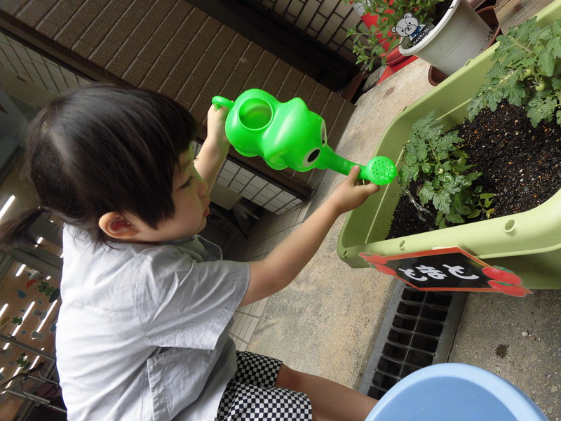 大きくなあれ✨