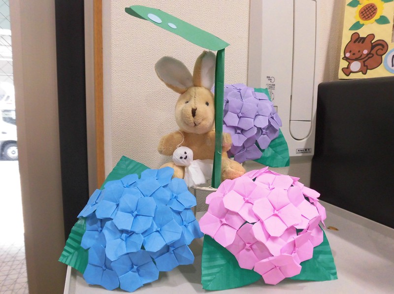 もうすぐ梅雨入り☂