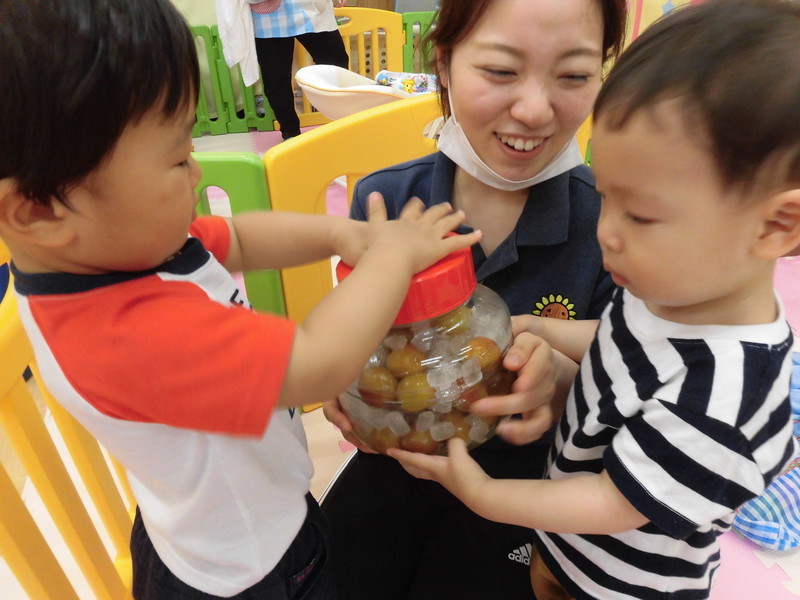 氷砂糖を入れてふたをして・・・
