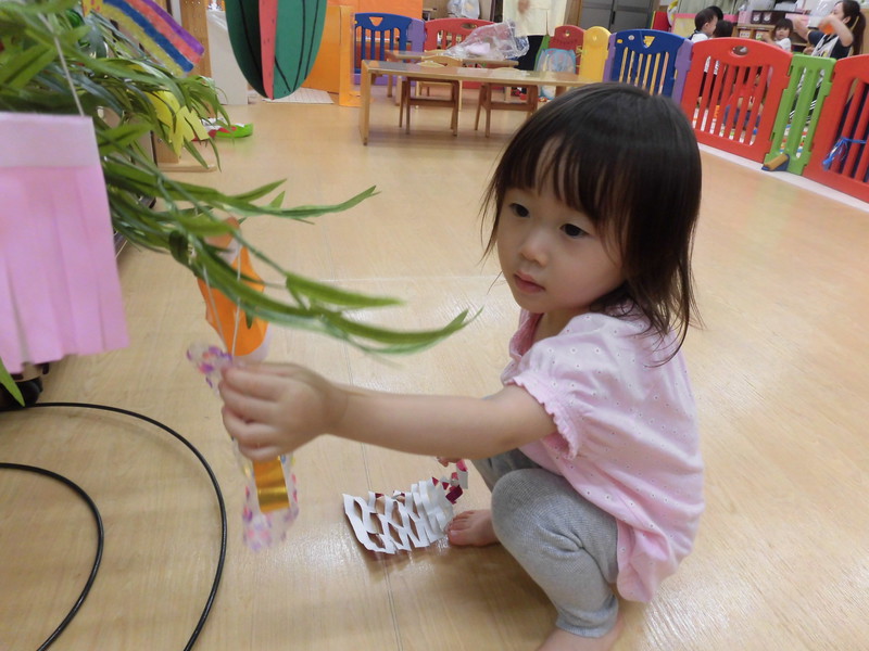 きらきらを飾るよ✨