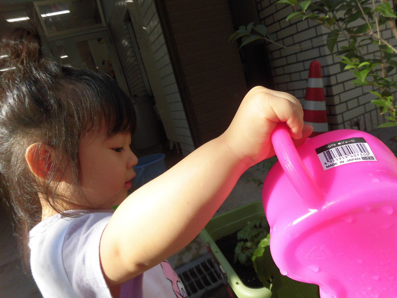 大きくなってね〜🍃