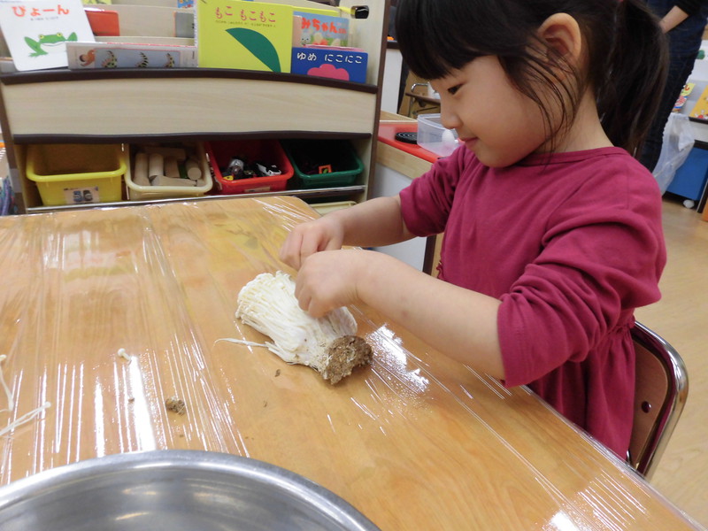 えのきも細かく裂けたよ🍄✨