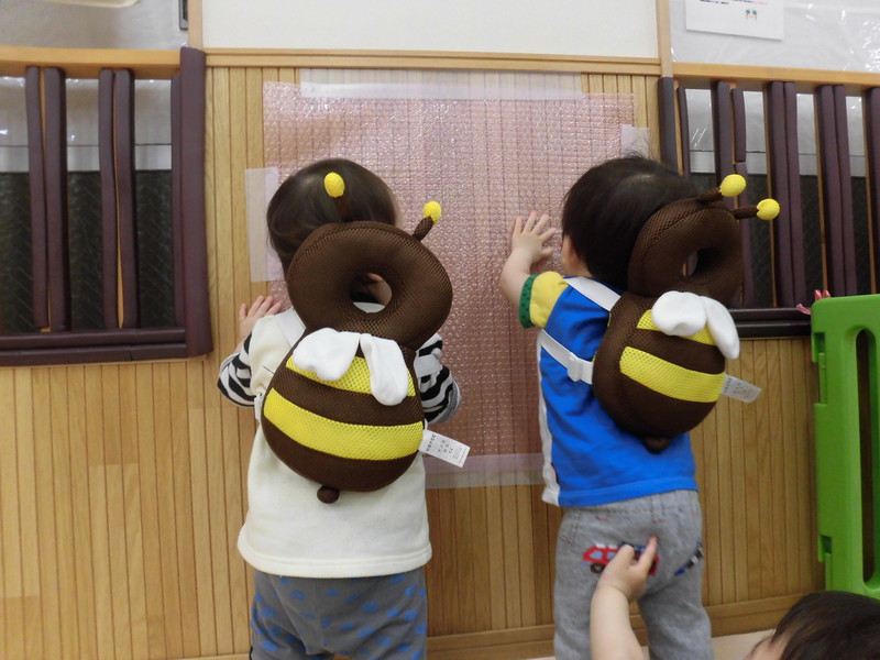 プチプチを触るかわいい蜂さん💕