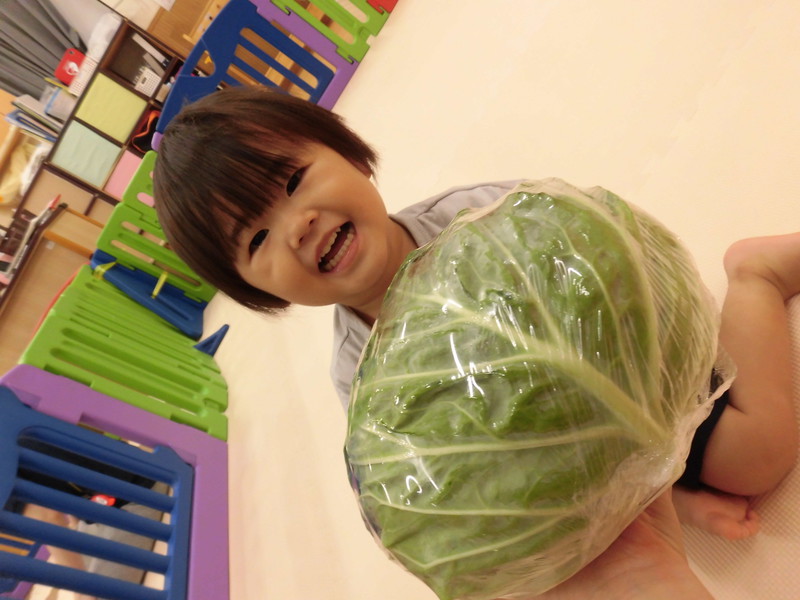 大きなキャベツでしょ❕