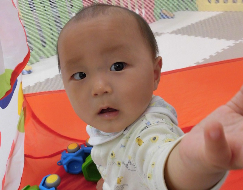 くるまちょうだい🚙💕