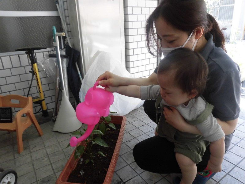 ピーマン大きくなあれ😊