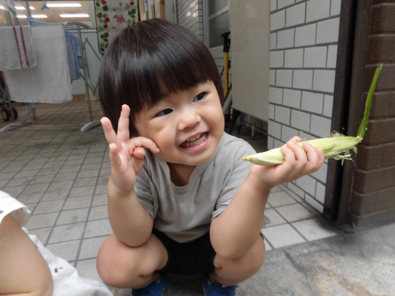 とうもろこしも収穫したよ🌽