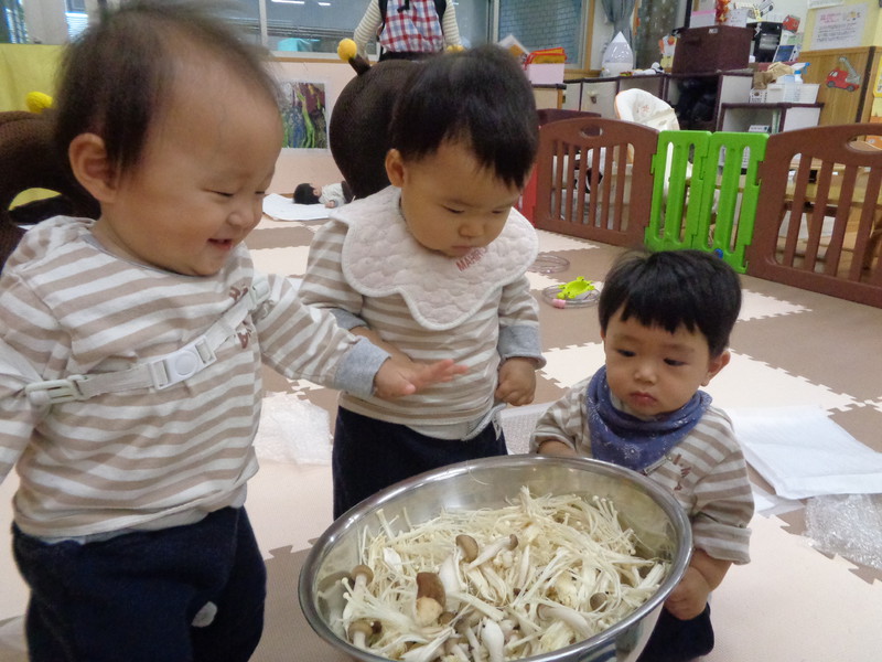 ひよこさんも興味津々👀