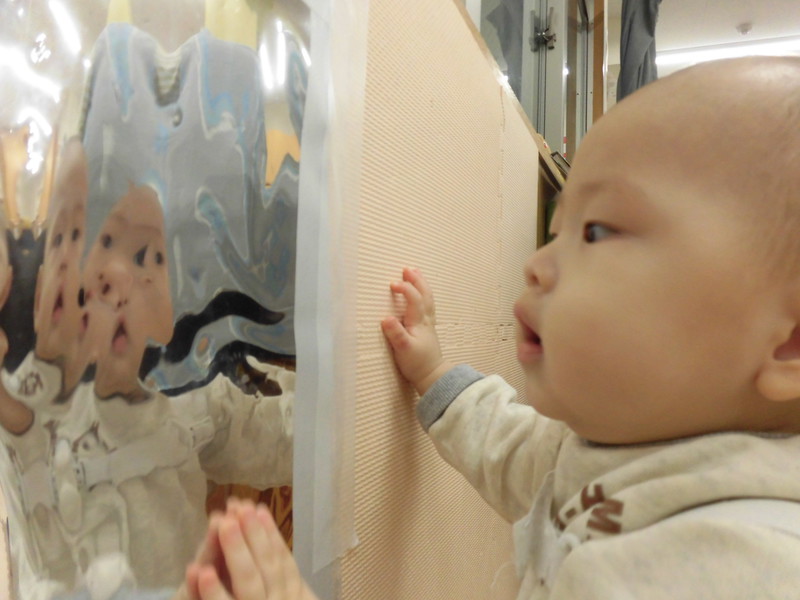 こ・・これは何だぁ❔❕