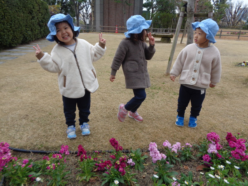 OAPできれいなお花見つけたよ🌼