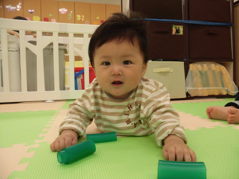 おもちゃを追いかけるよ🎵