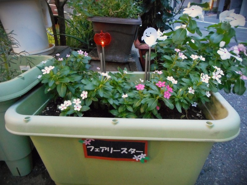 暗くなると光るよ🎃👻