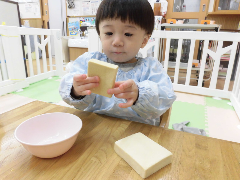 これはなんだ〜？