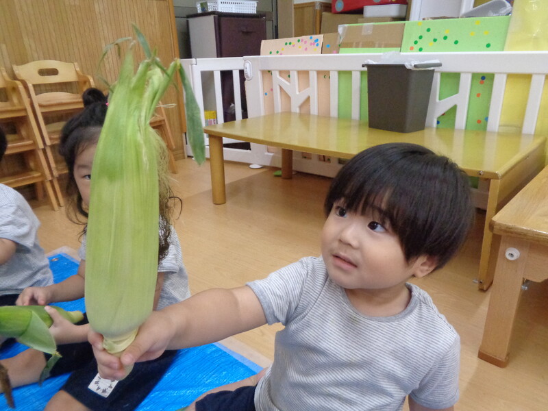 大きなとうもろこしだぁ〜🌽