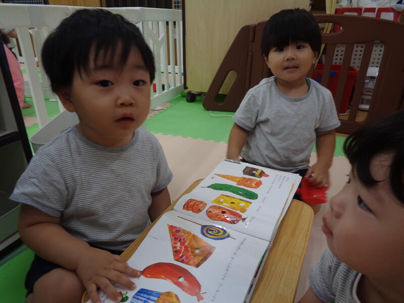 みんな大好きはらぺこあおむし🐛