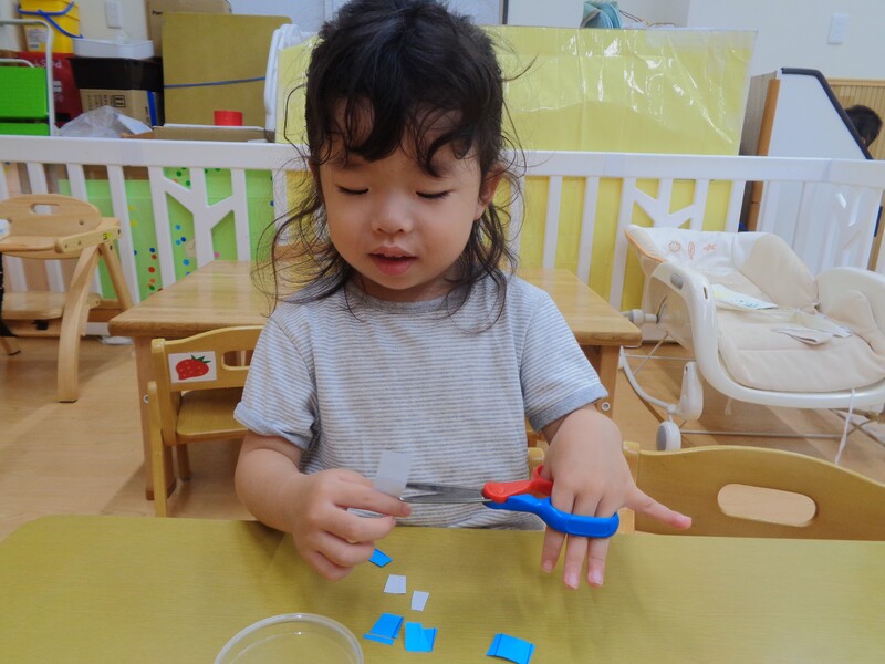 はさみを使う練習をしたよ✂️✨