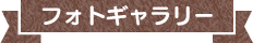 フォトギャラリー